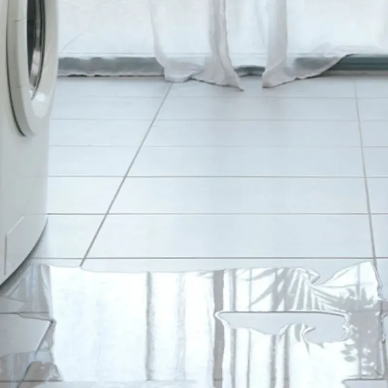 Appliance Leak Cleanup in Roseville, MI