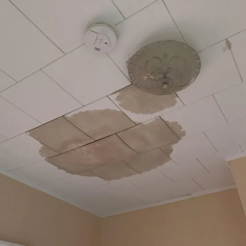 Ceiling Water Damage Repair in Roseville, MI