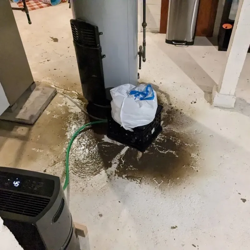 Sewage Backup Cleanup Service in Roseville, MI